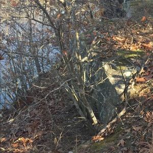 Meet your Posher, Landon